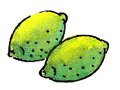 レモンイラスト